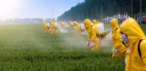 Feld GelbeUniform Pestizide
